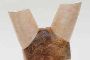 Tanada Koji