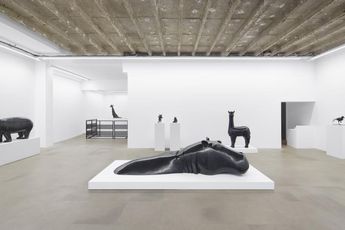 Contemporary art exhibition Daniel Daviau Anima at Dumonteil Paris France