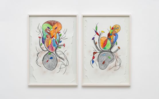 sem titulo by Tadaskia contemporary artwork Drawing