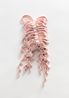 Bow Blow PPPPink by Ebony Russell contemporary artwork Sculpture