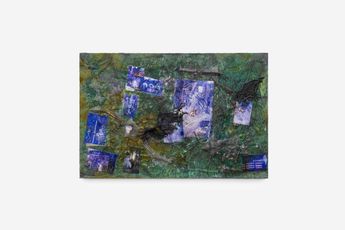 Mimosa Echard contemporary artist