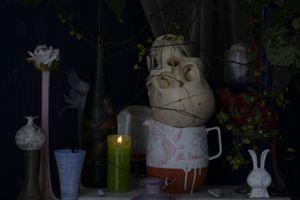 Fiona Pardington