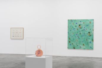 Contemporary art exhibition Suellen Rocca Good Things And Bad Things at Matthew Marks Gallery 523 West 24th Street United States