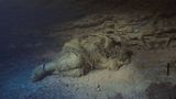 The Night is Not Mute by Erik Tlaseca contemporary artwork moving image
