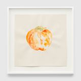 Untitled WC.109 Persimmon by Ruth Asawa contemporary artwork works on paper