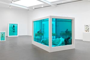 Damien Hirst