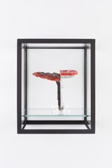 Double Mushroom Vitrine Once by Carsten Holler contemporary artwork sculpture
