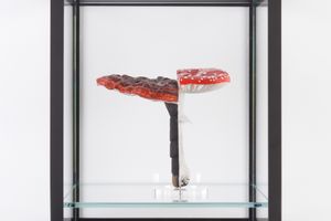 Carsten Holler