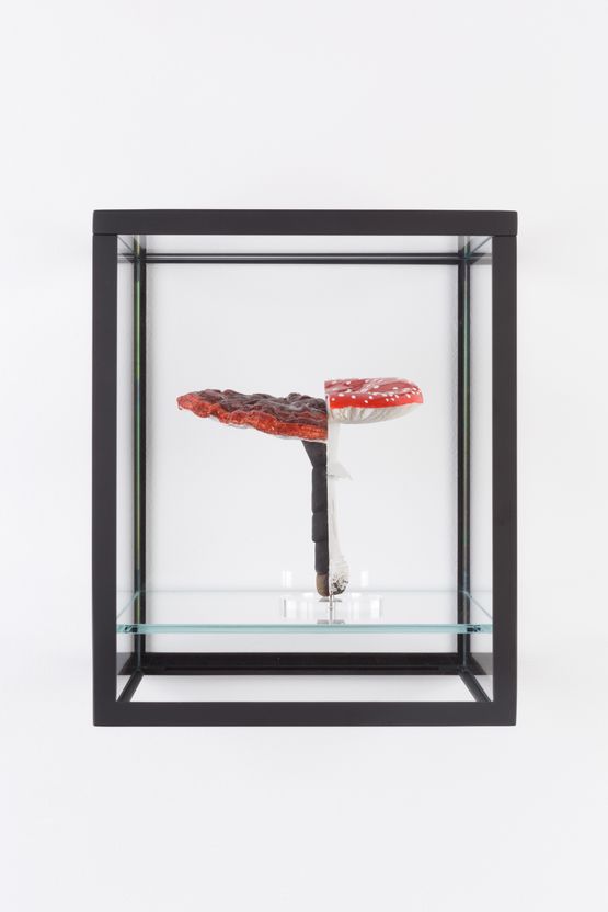 Double Mushroom Vitrine Once by Carsten Holler contemporary artwork Sculpture