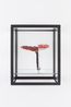 Double Mushroom Vitrine Once by Carsten Holler contemporary artwork Sculpture