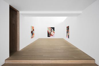 Contemporary art exhibition Cassi Namoda Tropical Depression at Xavier Hufkens Rivoli Belgium