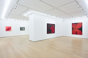 Group Exhibition