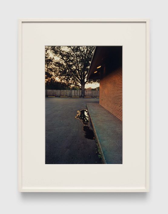 Untitled by William Eggleston contemporary artwork Photography