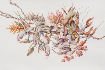 Miron Schmuckle contemporary artist