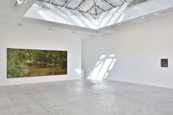Contemporary art exhibition Daniel Boyd Dream Time at Galerie Marian Goodman Paris France