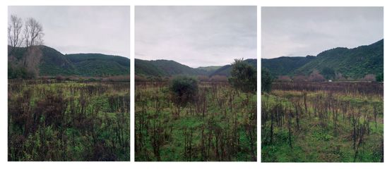 11.5.2000. Hinemihi. Te Wairoa Hot Lakes District New Zealand. The site of Hinemihi at the time of the Tarawera eruption of 1886. by Mark Adams contemporary artwork Photography