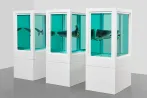 Damien Hirst contemporary artist