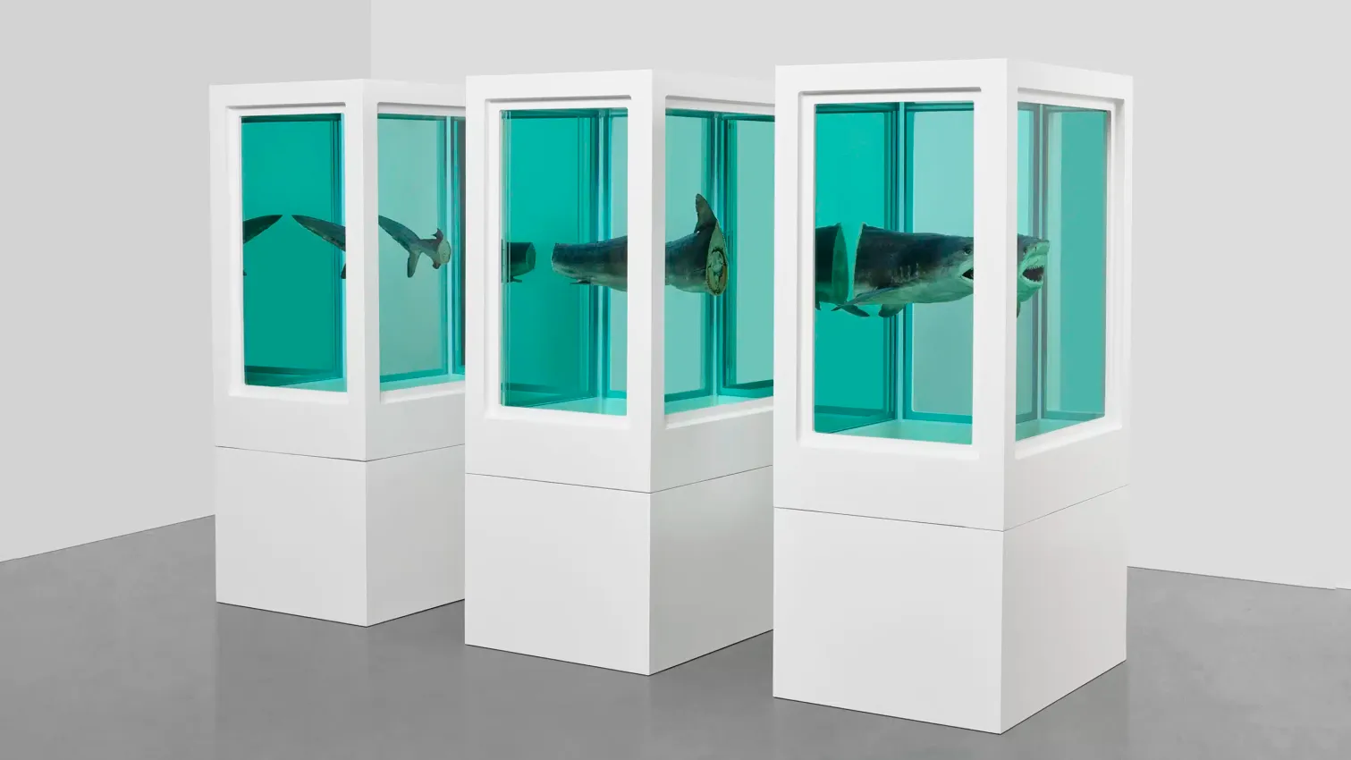 Damien Hirst