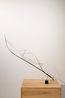La conquista by Laurent Martin Lo contemporary artwork Sculpture