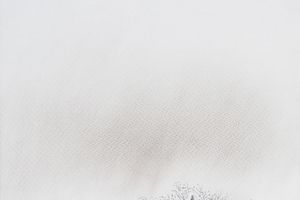 Shen Ling