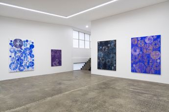 Contemporary art exhibition John Reynolds Some Greater Plan for Claire at Starkwhite Auckland New Zealand