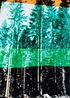 Wald in vier Farben by Frank Madler contemporary artwork Photography