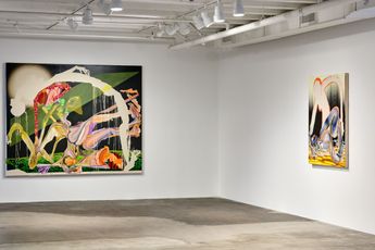 Contemporary art exhibition Christina Quarles The Ground Glows Black at Hauser  Wirth Los Angeles United States