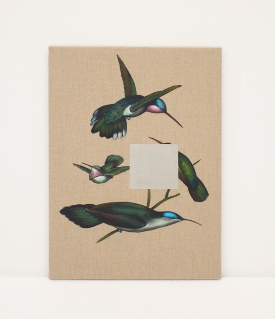 Mexican Hummingbirds by Gabriela Bettini contemporary artwork Painting
