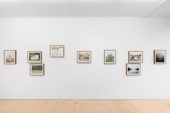 Contemporary art exhibition Group Exhibition Condo 2026  Magic Jungle at The Sunday Painter