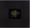 May 26th 2024 by Rachel Rose contemporary artwork Painting