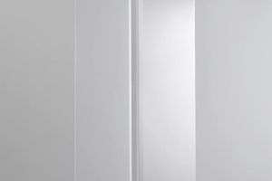 Robert Irwin