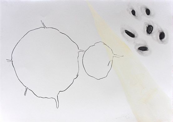 Untitled Series Coraza A001 by Magali Lara contemporary artwork Drawing