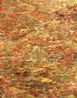 Silent as Light 1 by Nandita Mukand contemporary artwork Painting