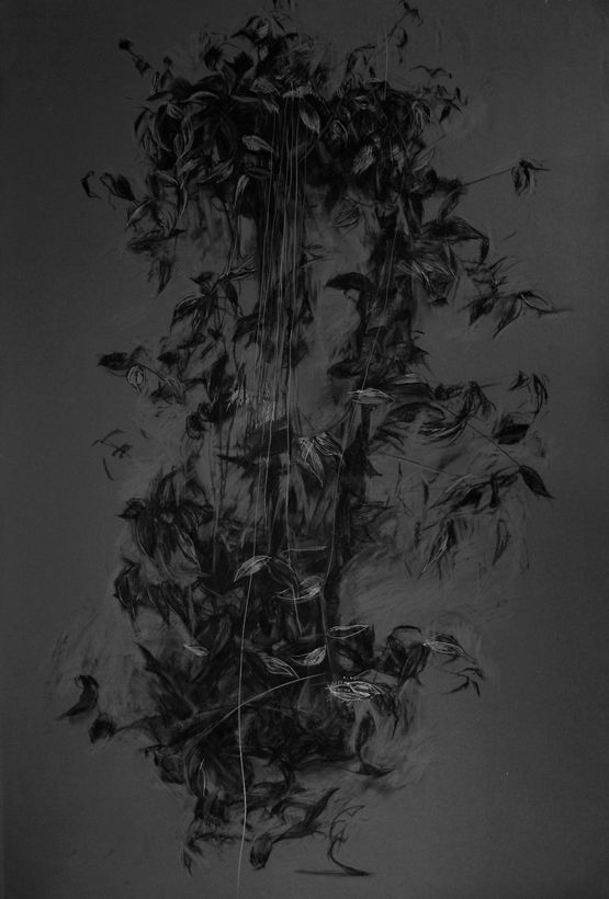 Companion 1 by Lin Yan contemporary artwork Works on Paper