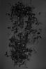 Companion 1 by Lin Yan contemporary artwork Works on Paper