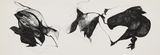 Untitled by Hedda Sterne contemporary artwork drawing works on paper