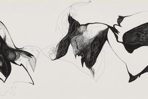 Hedda Sterne