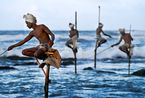 Stilt Fisherman South Coast Sri Lanka by Steve Mccurry contemporary artwork Print