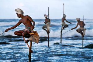 Steve Mccurry