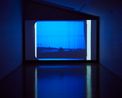 The Reef by Joyce Campbell contemporary artwork Moving Image