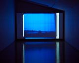The Reef by Joyce Campbell contemporary artwork moving image