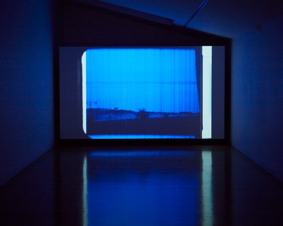 The Reef by Joyce Campbell contemporary artwork Moving Image