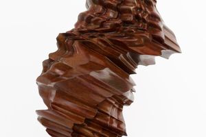 Tony Cragg