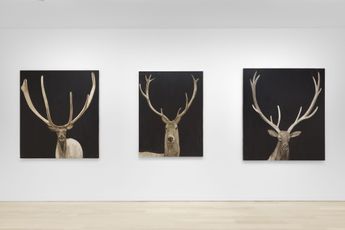 Contemporary art exhibition Joe Andoe Rolling Hills at Almine Rech New York Upper East Side United States