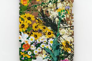 Andrea Bowers