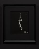 Tap Process Study by Joyce Campbell contemporary artwork photography