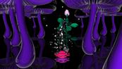Black Rose by Hye Rim Lee contemporary artwork Moving Image