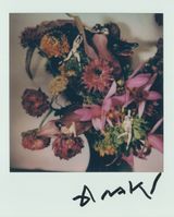 Untitled by Nobuyoshi Araki contemporary artwork photography