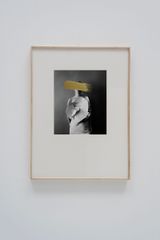 Hivernacle Lotus by Andrea Torres contemporary artwork painting photography works on paper
