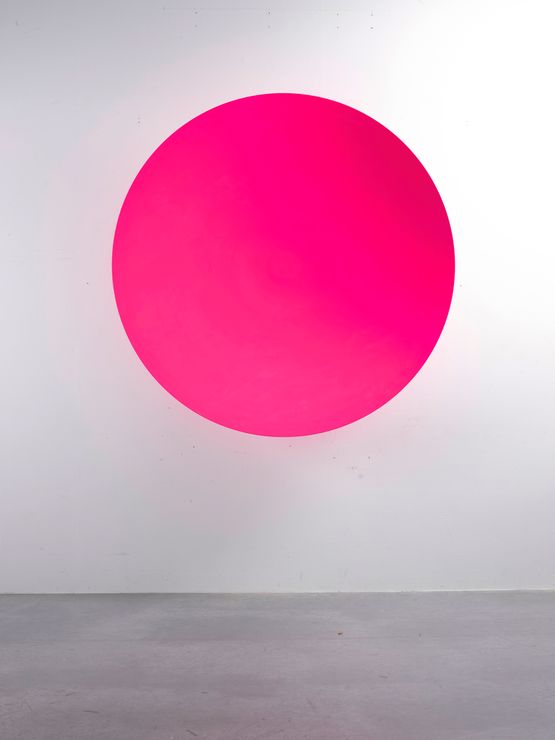 Parabolic 1.3 Pink by Chris Levine contemporary artwork Sculpture